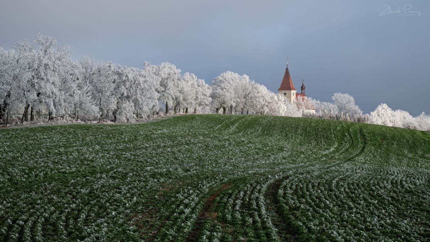 Kostel v Třebsku