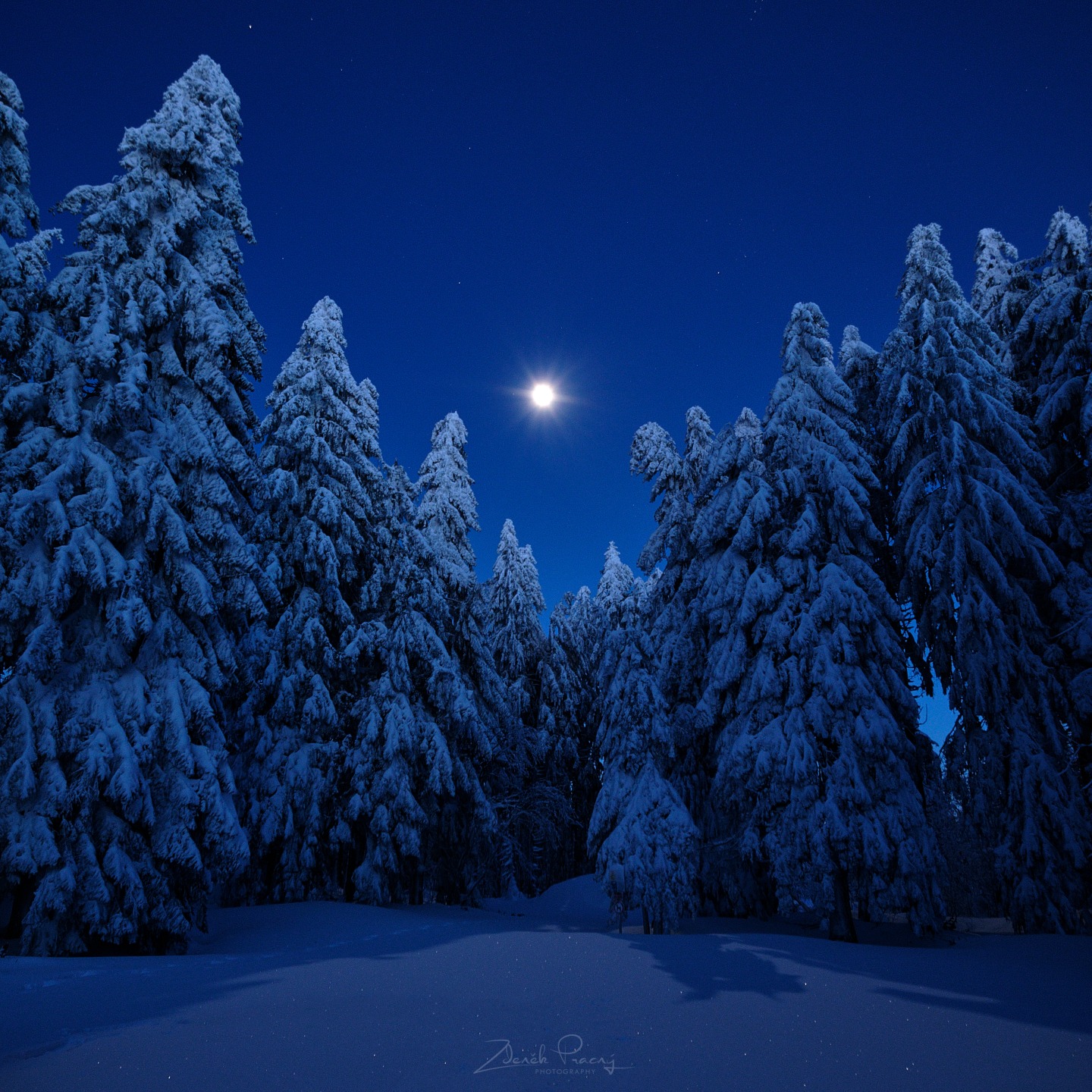 Mrazivá Šumava