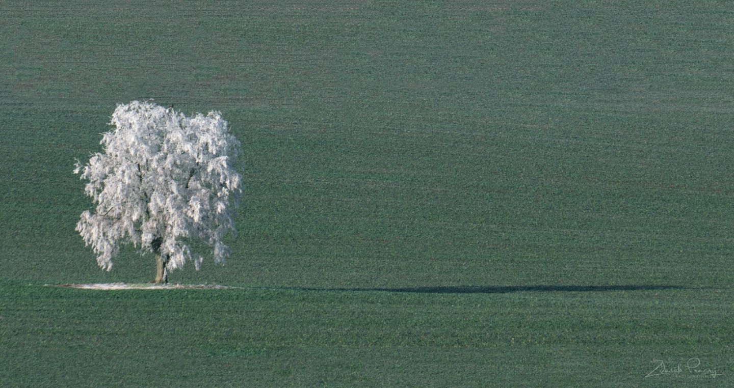 Solitér