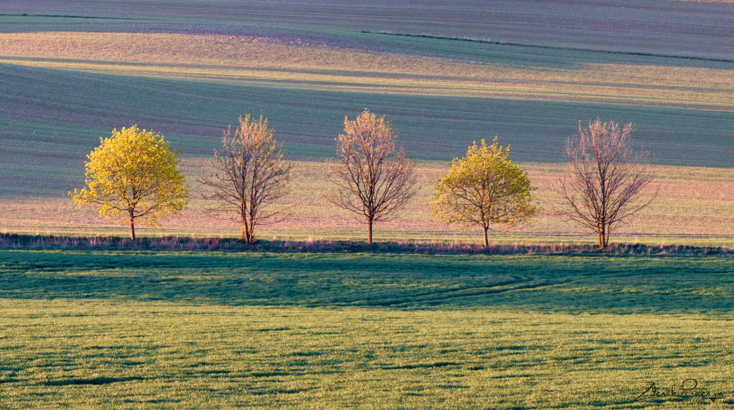 Stromořadí nad Zavržicemi