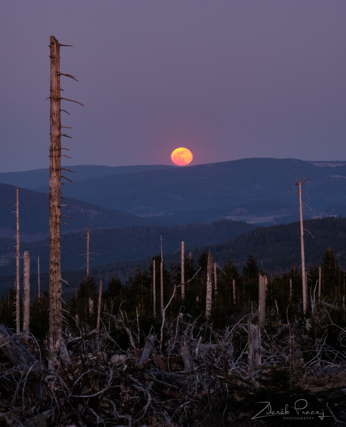 Úplněk nad Šumavou